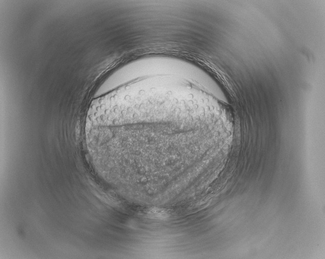 X0000114440261200911271644