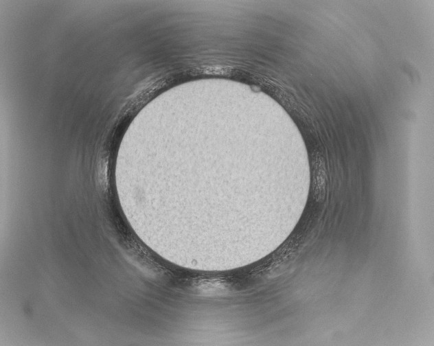 X0000114440262200911271644