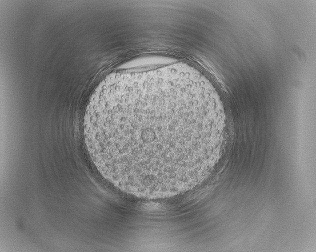X0000114440265200911271644