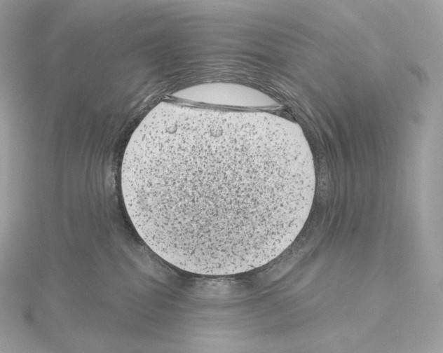 X0000114440282200911271644