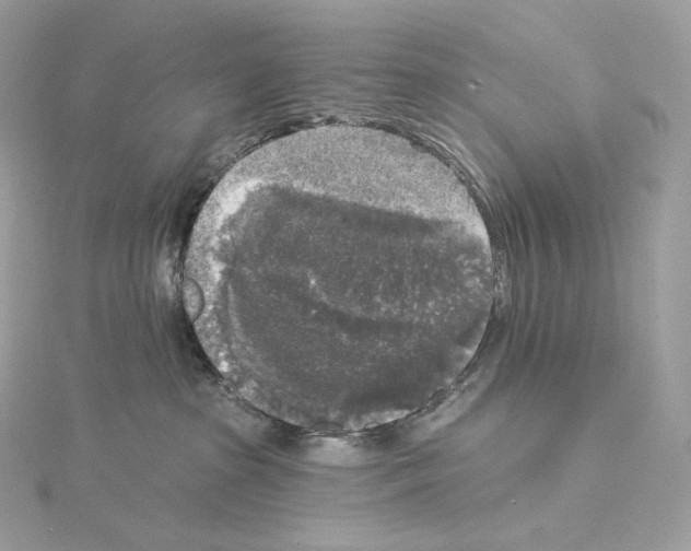 X0000114440285200911271644