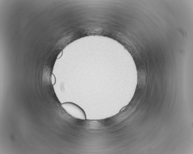 X0000114440287200911271644