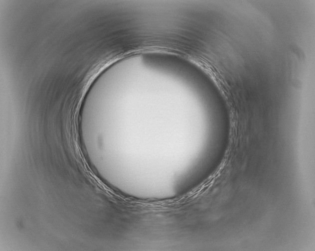X0000114440289200911271644