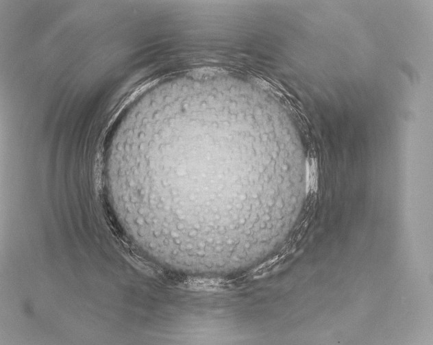 X0000114440291200911271644