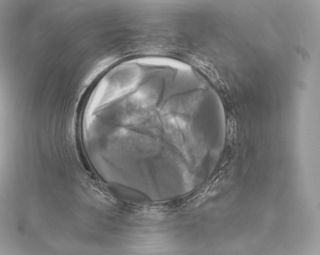 X0000114440292200911271644