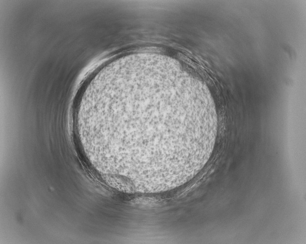 X0000114440294200911271644