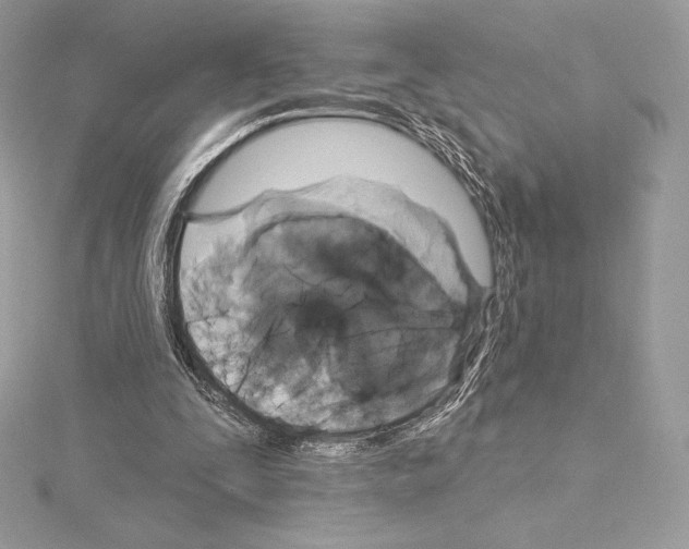 X0000114440295200911271644