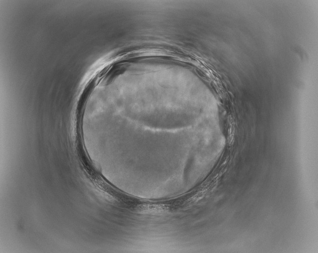 X0000114440296200911271644