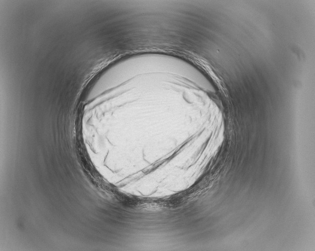 X0000114440299200911271644
