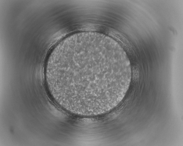 X0000114440302200911271643