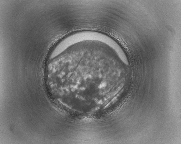 X0000114440303200911271643
