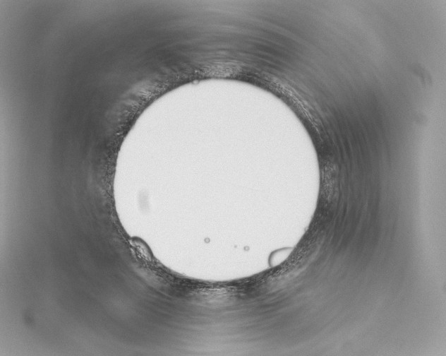 X0000114440307200911271643