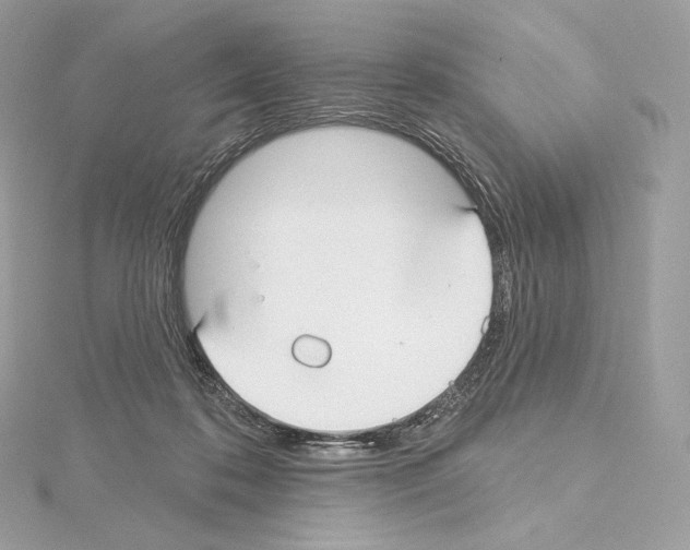 X0000114440316200911271643