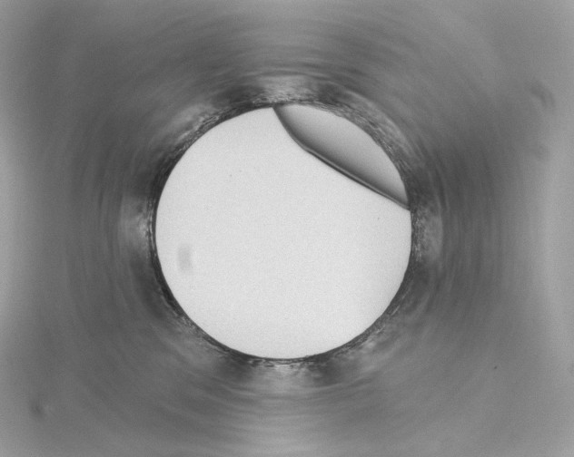 X0000114440329200911271643