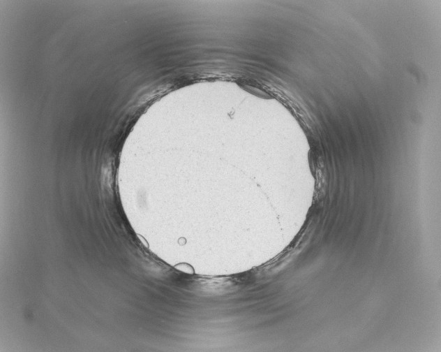 X0000114440333200911271643