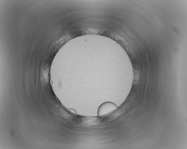X0000114440334200911271643
