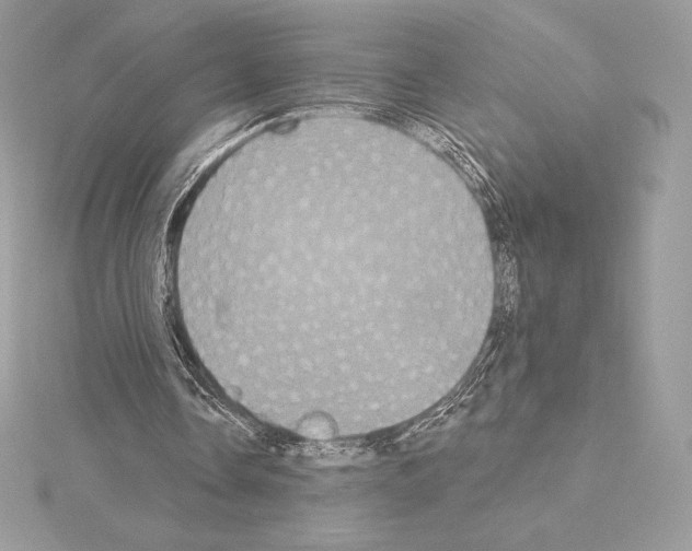 X0000114440338200911271642