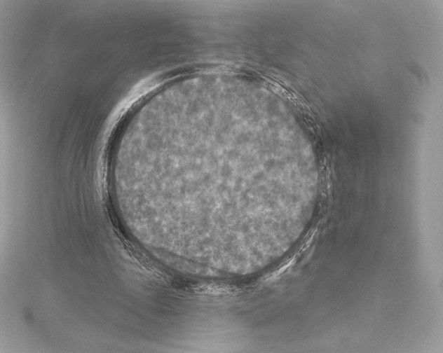 X0000114440343200911271643