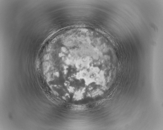 X0000114440347200911271643