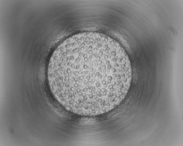 X0000114440354200911271643