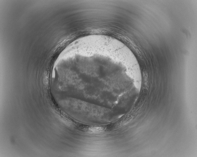 X0000114440357200911271643