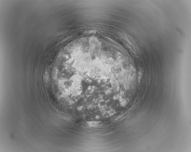 X0000114440371200911271643