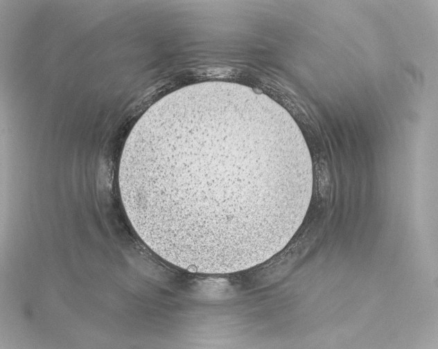 X0000114440374200911271643