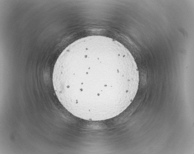 X0000114440377200911271643