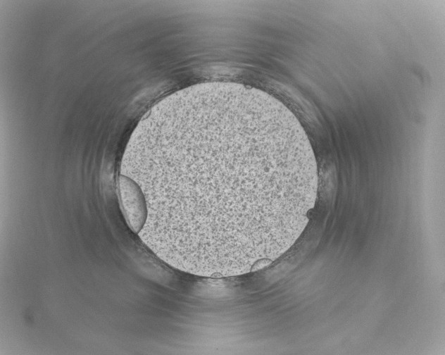 X0000114440381200911271643