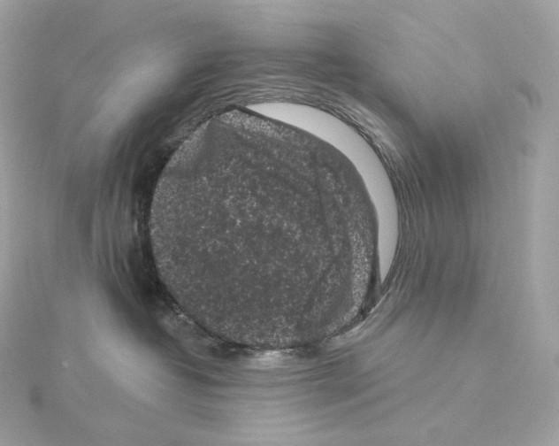 X0000114440382200911271643