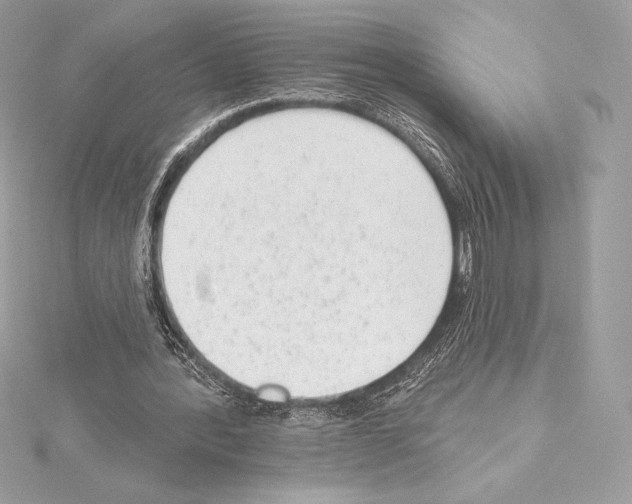 X0000114440388200911271642