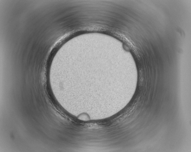 X0000114440392200911271642
