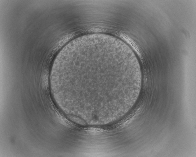 X0000114440393200911271642