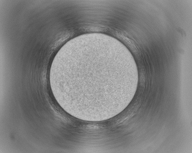 X0000114440394200911271642