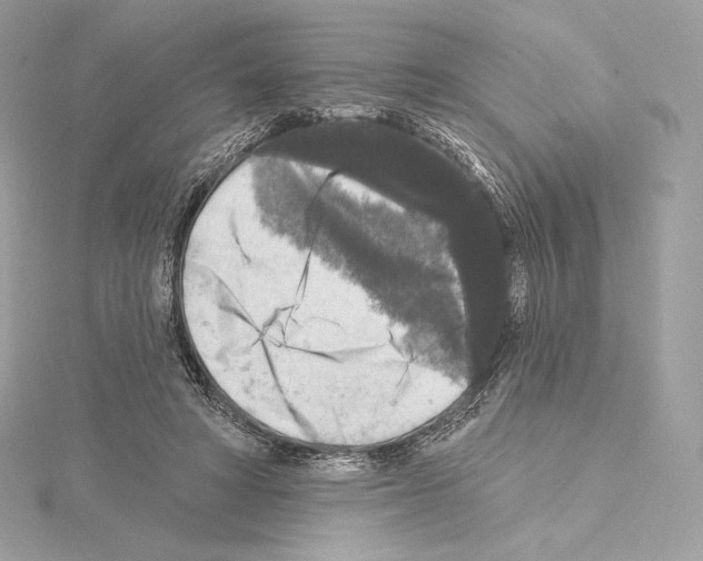 X0000114440402200911271642