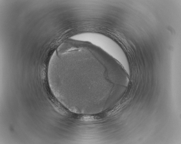 X0000114440413200911271642
