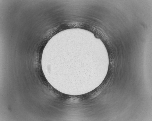 X0000114440416200911271642