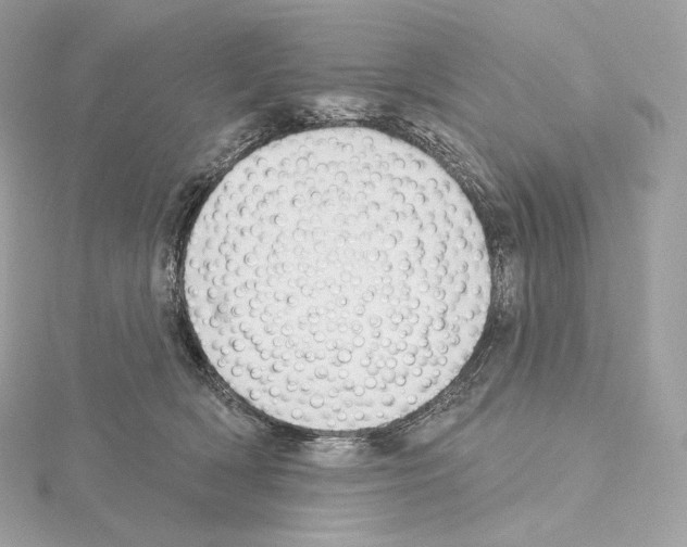 X0000114440418200911271642