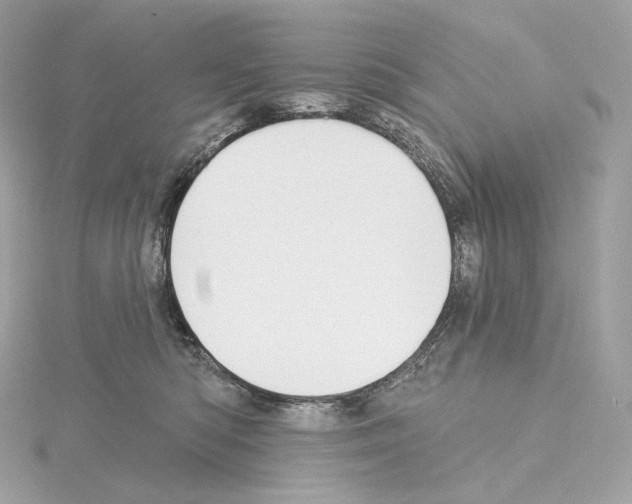 X0000114440422200911271642