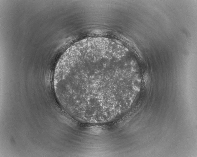 X0000114440423200911271642