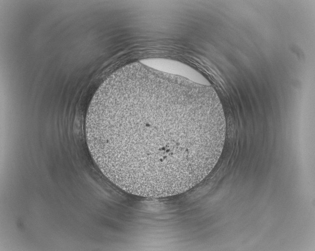X0000114440425200911271642