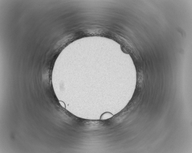 X0000114440428200911271642