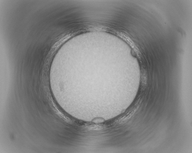 X0000114440433200911271641