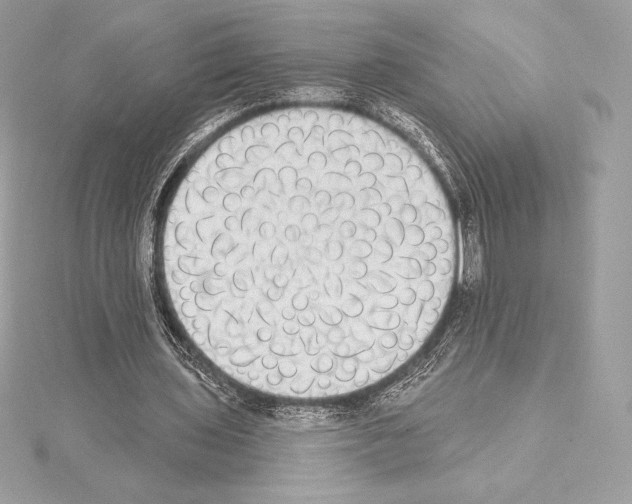 X0000114440435200911271641