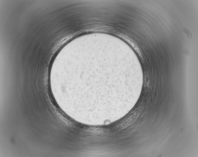 X0000114440437200911271641