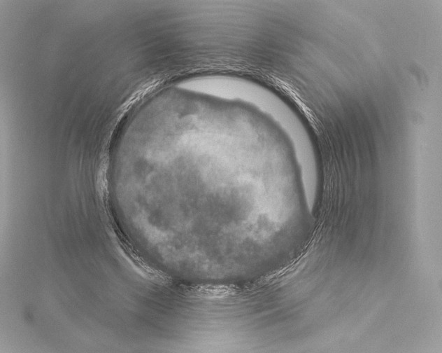 X0000114440443200911271641