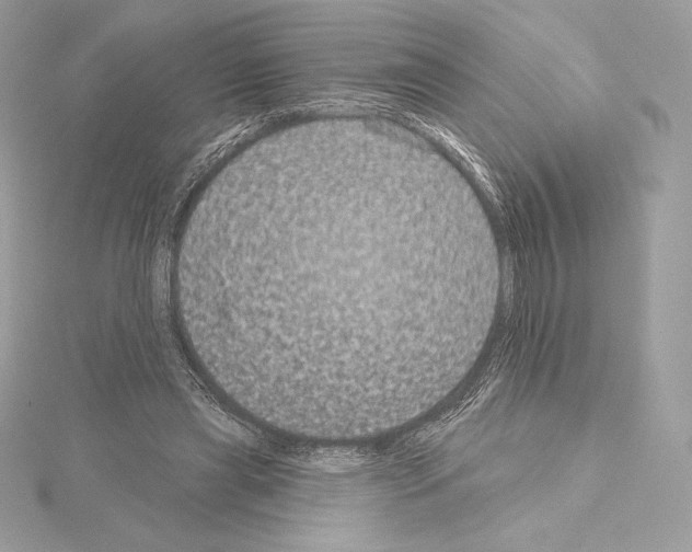 X0000114440445200911271641