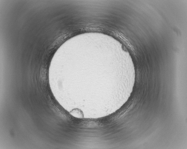 X0000114440449200911271641