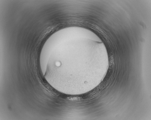 X0000114440452200911271641