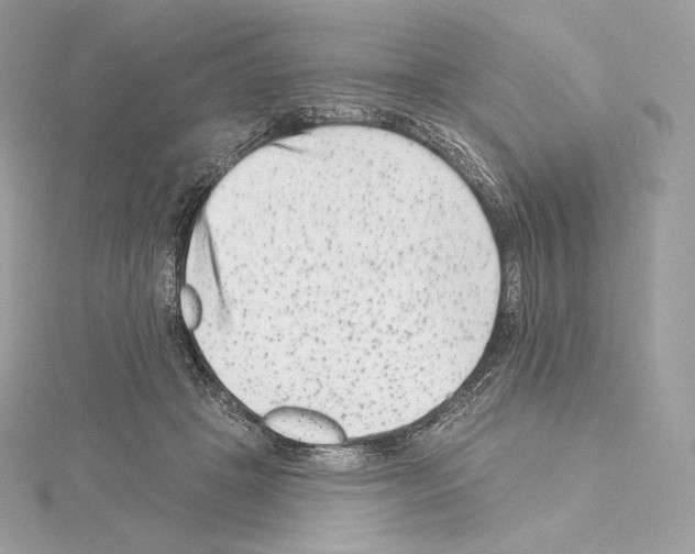 X0000114440457200911271642